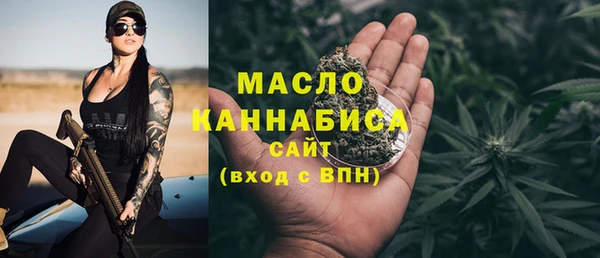 гидра Няндома