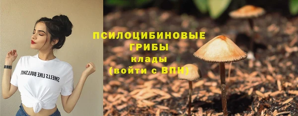 гидра Няндома