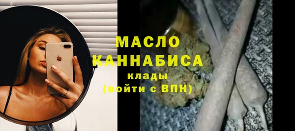 гидра Няндома