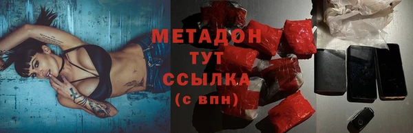 гидра Няндома