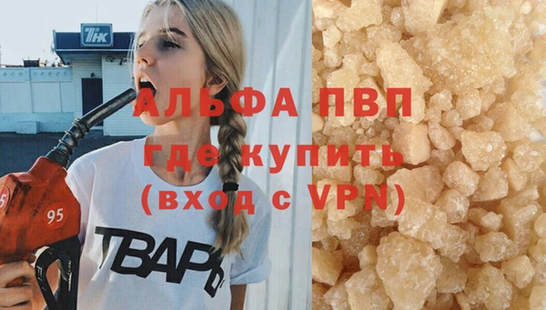 гидра Няндома