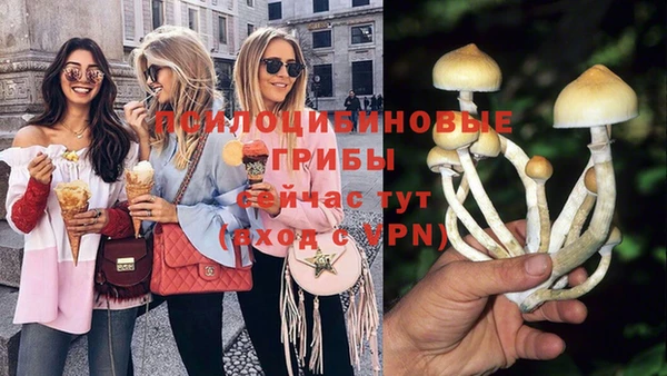 ECSTASY Нязепетровск