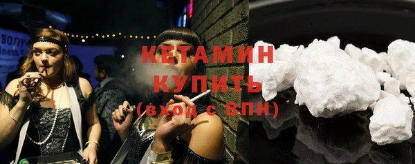 гидра Няндома