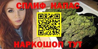 эйфоретик Гай