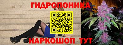 дурь Берёзовский