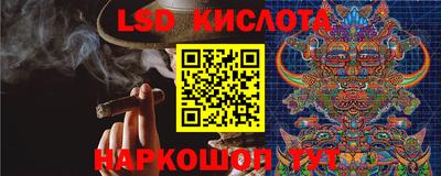 прущая мука Гатчина