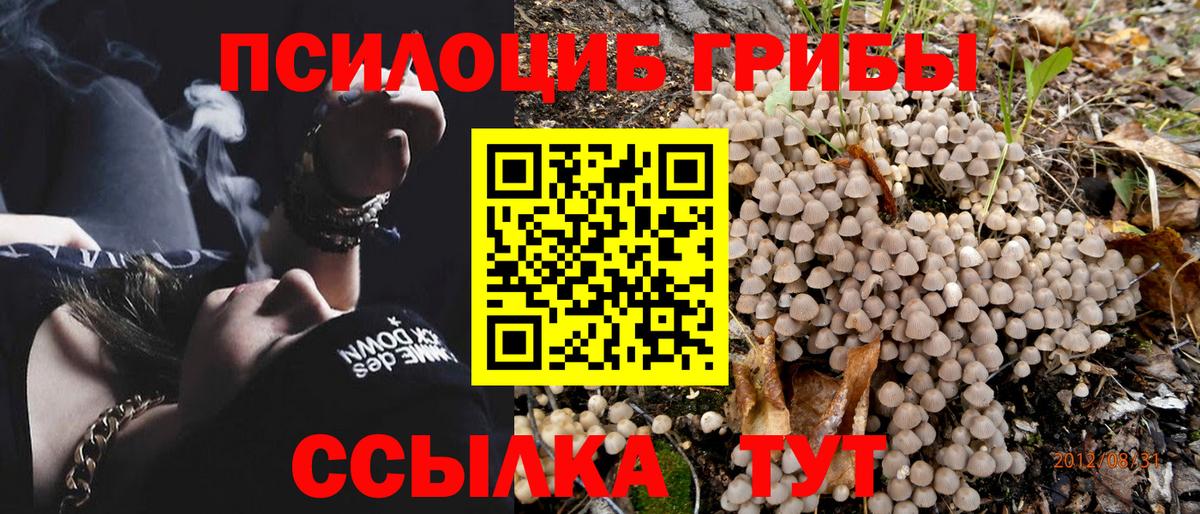 Галлюциногенные грибы Magic Shrooms  Галлюциногенные грибы ЛСД  Вход с VPN  Зерноград 